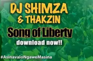 Dj Shimza - SONG OF LIBERTY (VOTE ANC) ft. DJ THAKZIN